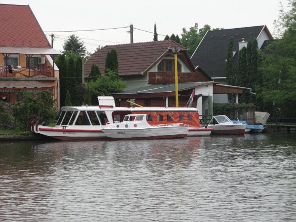 Szarvas 026